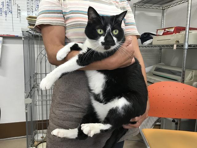 有限会社　原田自動車整備工場13