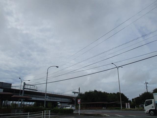 作業実績