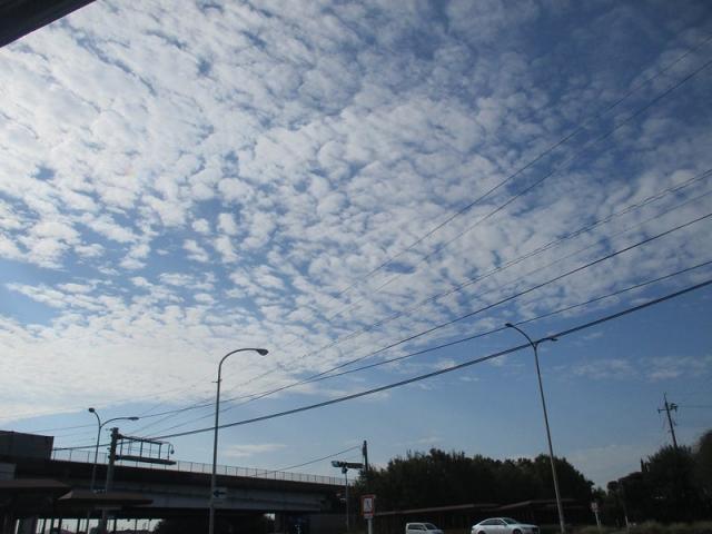 作業実績