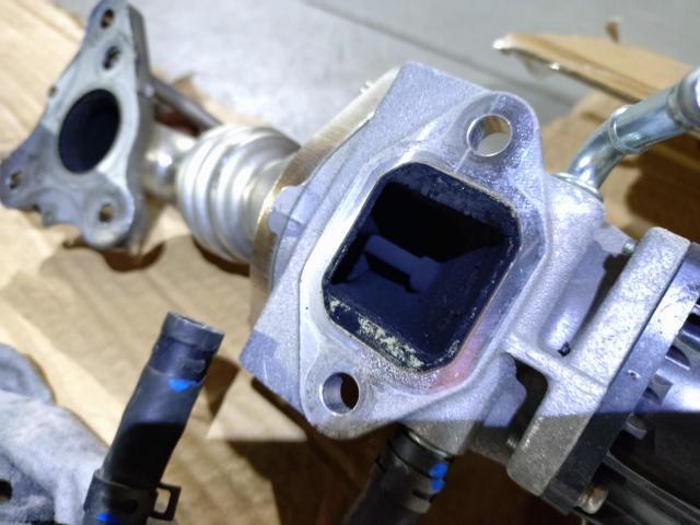 【岡崎市】MAZDA マツダ ATENZA アテンザ GJ2 ディーゼルターボ インテークカーボン除去 スス除去 煤 DPF洗浄 豊田市 西尾市 幸田町 安城市 蒲郡市 三河エリア (株)ＯＷＬ（kkr auto works）