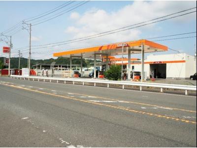 ピッカーズルート1掛川トラックステーションの画像