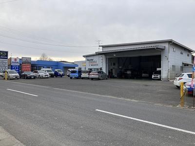 スペシャリストエンドウの画像