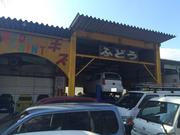 ニューふどうカードックセンター（株）3