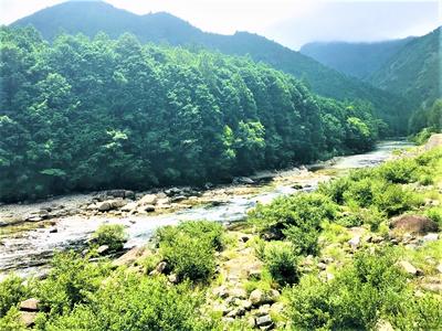 店の前には清流大又川