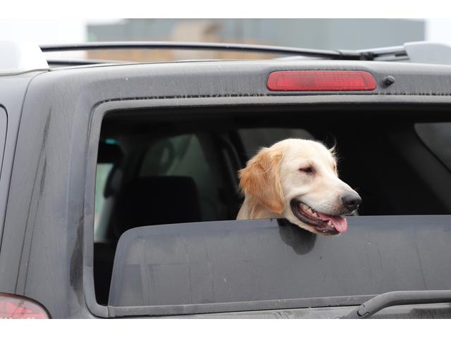 イチマルガレージ