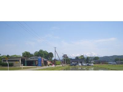 車のみどり　有限会社の画像