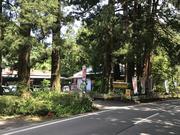 （有）君島モータース3