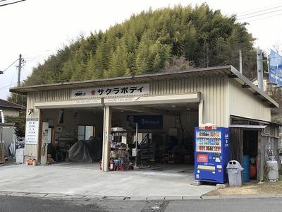 サクラボディの画像