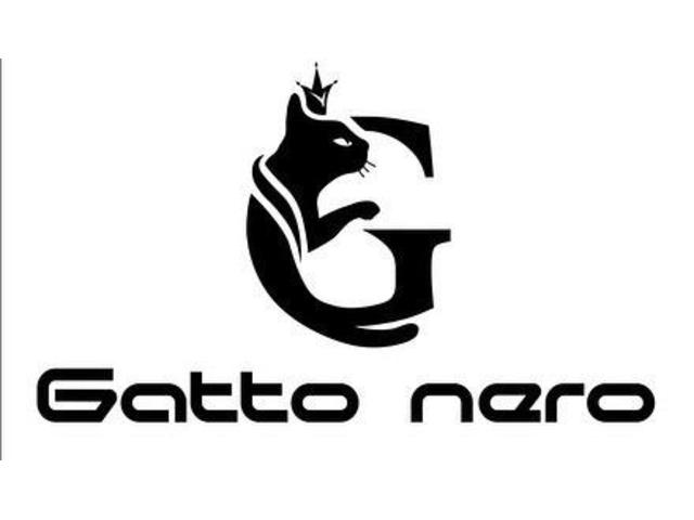 「 日産  エルグランドTE52・フロントドライブレコーダー　出張取り付け」#ガットネロ #Gattonero #バイパー正規代理店  #ホーネット #カーセキュリティ専門店  #神戸市  #三木市 #明石市 #日産  #エルグランド