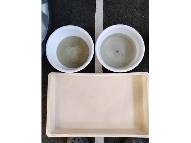 エアコン臭い車　色々聞いたが車のエアコンの効きが悪いなど　カーエアコンのお困り事ご相談ください。　全国のスタッフが対応いたします。カーエアコンガスサービスステーションご紹介可能　今回NBOXエバポレーター洗浄