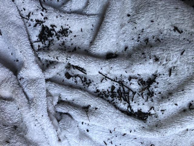 カーエアコンクリーニング株式会社　愛車のエアコン掃除屋さん　カーエアコン内部エバポレーター洗浄　車のエアコン内部洗浄でカーエアコンの臭いの原因を洗い流します。
福島県　宮城県　新潟県　栃木県　岩手県　カーエアコンクリーニング料金