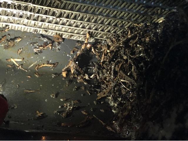 カーエアコンクリーニング株式会社　愛車のエアコン掃除屋さん　カーエアコン内部エバポレーター洗浄　車のエアコン内部洗浄でカーエアコンの臭いの原因を洗い流します。
福島県　宮城県　新潟県　栃木県　岩手県　カーエアコンクリーニング料金