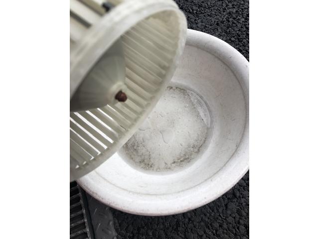 中古車フォードエクスプローラーエアコンからカビ臭が フォードエバポレーター洗浄もお任せください カーエアコン洗浄専門工具で全国施工可能 カーエアコン洗浄料金セット価格38500円税込み輸入車料金です。