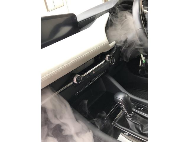 MAZDA3エアコン洗浄　エバポレーター洗浄　車のエアコン臭いの原因はエアコン内部を直接エバポレーター洗浄で　　　　ＭＡＺＤＡ３東京都千葉県埼玉県群馬県栃木県神奈川県千葉県静岡県名古屋市岐阜県大阪府滋賀県福岡県山口県長野県福島県仙台