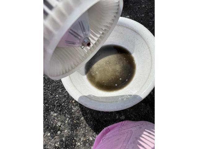 ホンダ　エリシオン　臭い　匂い　車のエアコン　エバポレーター洗浄専横
カーエアコンクリーニング　エリシオン　クリーニング・カーエアコン洗浄