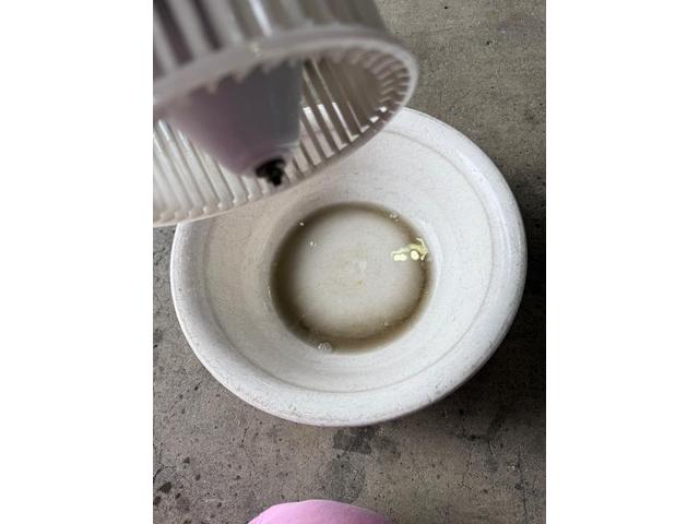 ランクル　エアコン掃除方法　年式経ったランクルはエアコン内部エバポレーターのつまりを洗浄で　エアコン効きを改善　車のエアコン洗浄　愛車のエアコン　トヨタ　ランドクルーザープラド　クリーニング　東京　千葉　神奈川　長野　福岡　名古屋