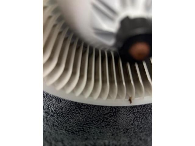 車のエアコン　風が弱い　異音　エバポレーター洗浄　車のエアコン専門業者　愛車のエアコン掃除屋さん
トヨタ　ＦＪクルーザー　電装系修理　エバポレーター洗浄　東京　千葉　埼玉　静岡　愛知　福岡　大阪　岡山　長野