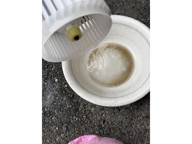 ヴォクシーエアコンフィルター交換　エアコン修理　エバポレーター洗浄　車のエアコン臭い　車のエアコン風量を改善　車のエアコン効きを改善　トヨタ　ヴォクシー　電装系修理　エバポレーター洗浄　カーエアコンクリーニング　