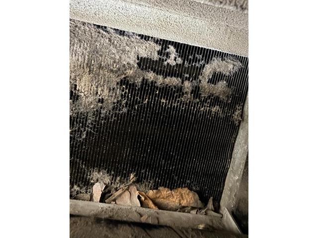 バスエアコン効きを改善　バスエアコン修理　エバポレーター洗浄　バスエバポレーター　バスエバポレーター洗浄　車のエアコン洗浄専門業者　カーエアコンクリーニング株式会社　　電装系修理