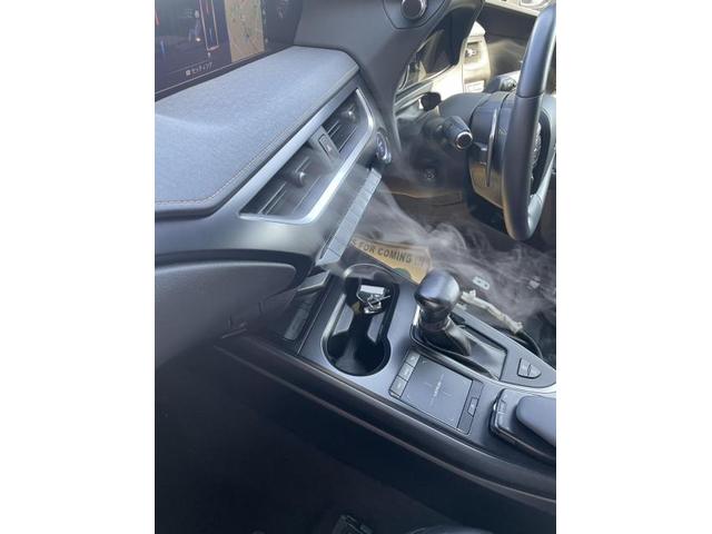 レクサス臭い　レクサスエアコン臭いの原因　エバポレーター　東京都　福岡　大阪　兵庫　愛知　名古屋　埼玉　群馬　長野　茨城　千葉　レクサス　ＵＸ　電装系修理　エバポレーター洗浄専門業者　