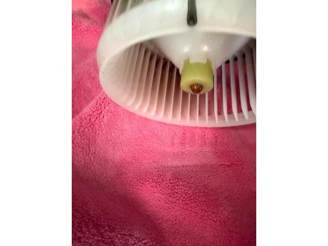 ハリアーエアコン臭い　ハリアーエアコンフィルター交換　中古車の臭い　カーエアコンクリーニング　愛車のエアコン掃除屋さん　エバポレーター洗浄　トヨタ　ハリアー　電装系修理　ハリアー　エアコン修理