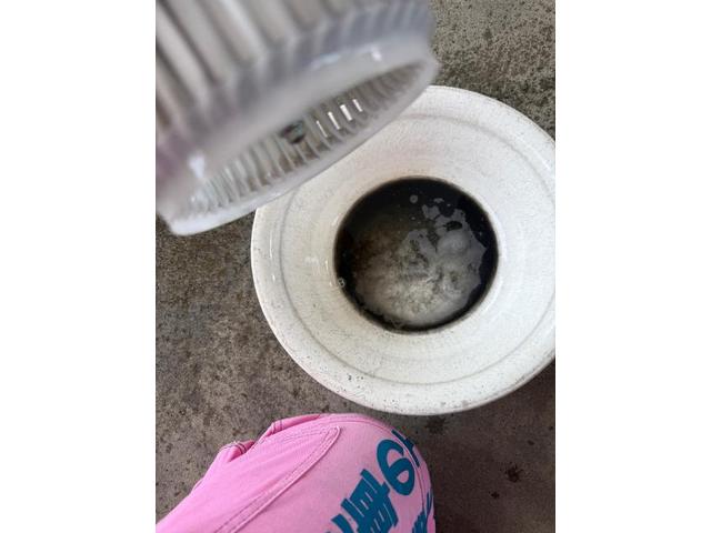 スイフトスポーツ臭い　スイフトスポーツ　中古車内空気の臭い　エバポレーター洗浄　東京　千葉　埼玉　福岡　名古屋　岐阜　三重　大阪　兵庫　神奈川　長野　新潟　福島　群馬　スズキ　スイフトスポーツ　クリーニング・清掃