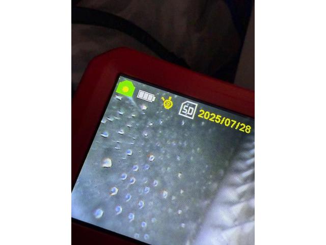 スイフトスポーツ臭い　スイフトスポーツ　中古車内空気の臭い　エバポレーター洗浄　東京　千葉　埼玉　福岡　名古屋　岐阜　三重　大阪　兵庫　神奈川　長野　新潟　福島　群馬　スズキ　スイフトスポーツ　クリーニング・清掃