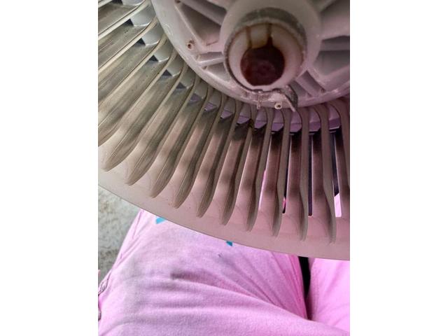 中古車臭い　メンテナンス　中古車仕上げ　カーエアコン洗浄　中古車臭いの原因エアコン　カーエアコンクリーニング　トヨタ　ハイラックスサーフ　クリーニング・清掃　愛車のエアコン掃除屋さん