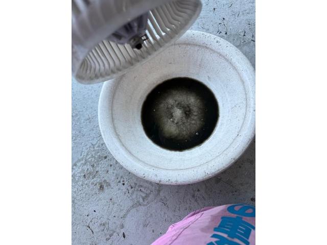 中古車臭い　メンテナンス　中古車仕上げ　カーエアコン洗浄　中古車臭いの原因エアコン　カーエアコンクリーニング　トヨタ　ハイラックスサーフ　クリーニング・清掃　愛車のエアコン掃除屋さん