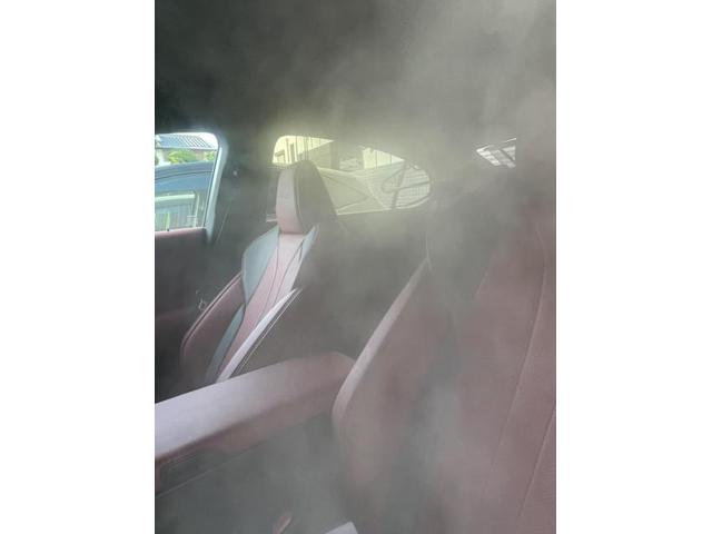 レクサス臭い　中古車レクサス　エバポレーター洗浄　カーエアコン洗浄　車のエアコン　カーエアコンクリーニング　エバポレーター洗浄専門業者　レクサス　ＥＳ　クリーニング・清掃