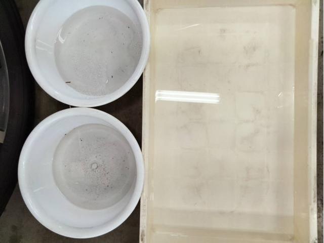 レクサス　エンジンかけはじめ臭い　レクサスカビ臭　カーエアコン洗浄レクサス　ＮＸ　クリーニング・清掃　愛車のエアコン掃除屋さん　カーエアコンクリーニング株式会社