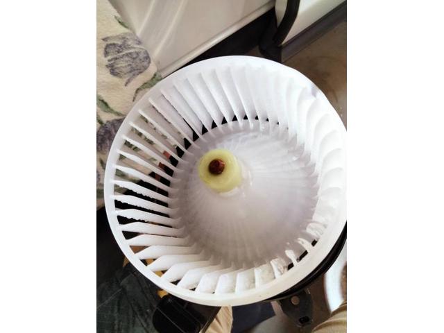 レクサス　エンジンかけはじめ臭い　レクサスカビ臭　カーエアコン洗浄レクサス　ＮＸ　クリーニング・清掃　愛車のエアコン掃除屋さん　カーエアコンクリーニング株式会社