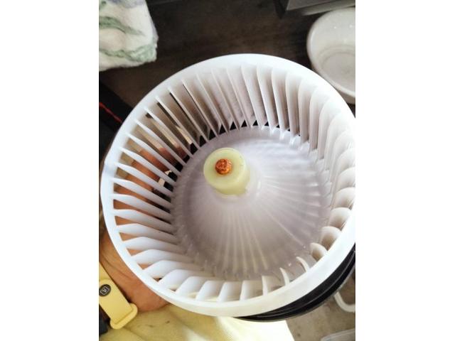 レクサス　エンジンかけはじめ臭い　レクサスカビ臭　カーエアコン洗浄レクサス　ＮＸ　クリーニング・清掃　愛車のエアコン掃除屋さん　カーエアコンクリーニング株式会社