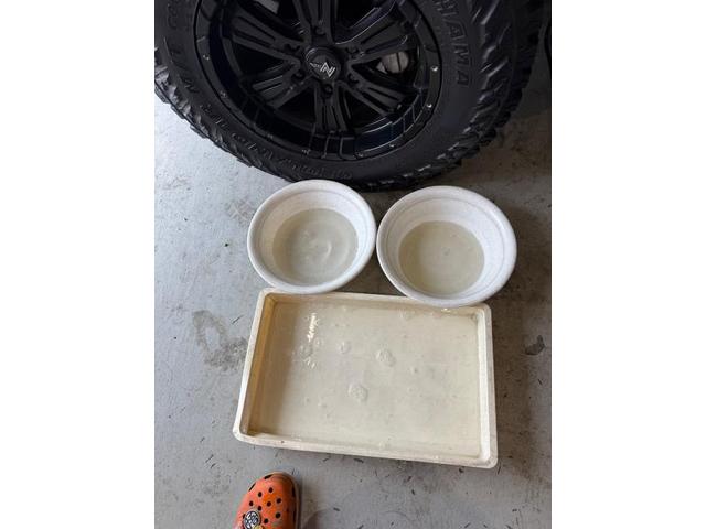 車の臭い　カビ臭　生乾きの臭い　車のエアコン専門業者　エバポレーター洗浄　愛車のエアコン掃除屋さん　カーエアコン洗浄　トヨタ　ランドクルーザープラド　クリーニング・清掃