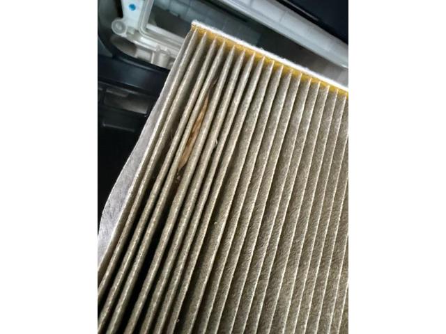 車の臭い　カビ臭　生乾きの臭い　車のエアコン専門業者　エバポレーター洗浄　愛車のエアコン掃除屋さん　カーエアコン洗浄　トヨタ　ランドクルーザープラド　クリーニング・清掃