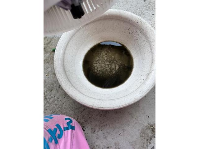 東京　埼玉　千葉　車の臭い　車のエアコン臭い　本格的洗浄　カーエアコンクリーニング　トヨタ　ランドクルーザープラド　クリーニング・清掃　エバポレーター洗浄　愛車のエアコン掃除屋さん