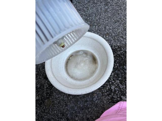 カーエアコン洗浄の頻度　カーエアコン洗浄の頻度はどれくらい？　毎年やるのがベストですが2年に一度やる方が多いです　マツダ　ＭＡＺＤＡ６セダン　クリーニング・清掃　エバポレーター洗浄　愛車のエアコン掃除屋さん　カーエアコンクリーニング