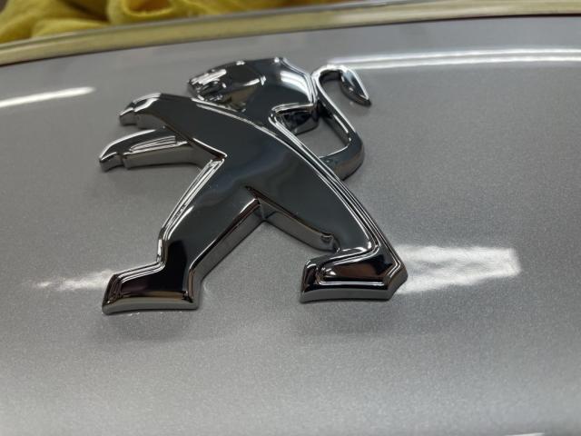 プジョー　RCZ　ナノプロテクトコート　コーティング施工
