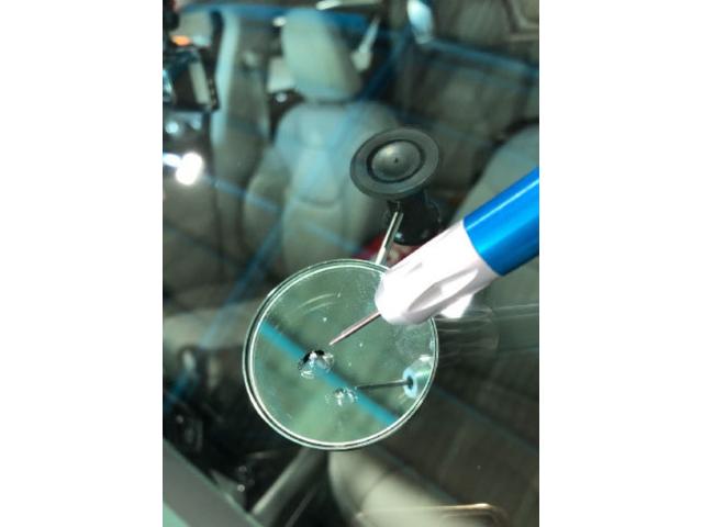 カービューティートミタ6