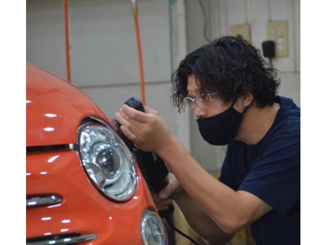 カービューティートミタ12