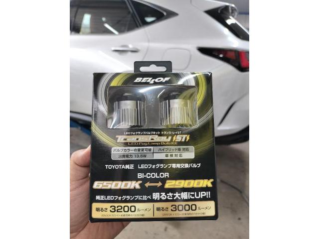 LEXUS　NX フォグランプ交換