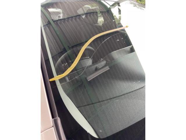 トヨタアクア　フロントガラス交換　自動車ガラス専門店　車のガラス行田市　埼玉県　お気軽にお問合せください　行田市熊谷市埼玉県深谷市本庄市鴻巣市北本市桶川市上尾市さいたま市久喜市白岡市蓮田市東松山市坂戸市群馬県茨城県東京都