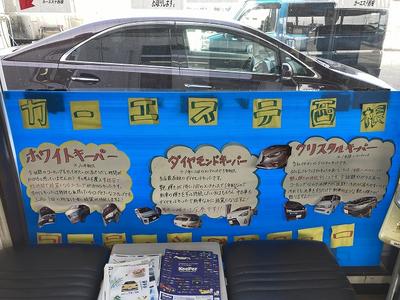 ボディコーティング