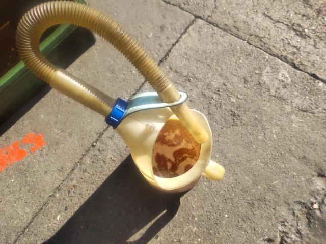 スズキ　アルト　エンジンオイル交換