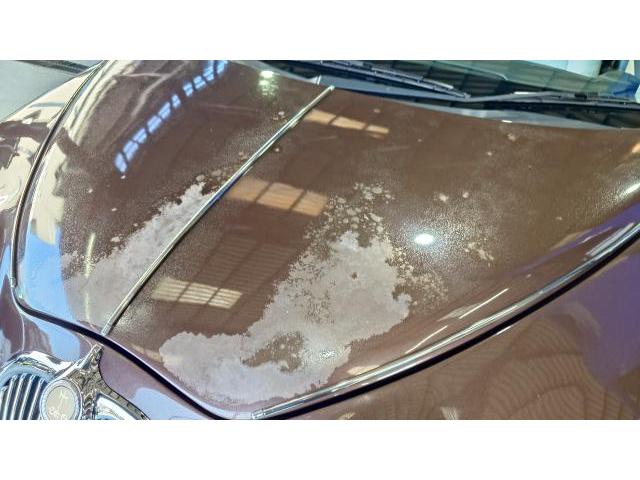 ミツオカ　ビュート　板金・外装補修　ボンネット　塗装　塗装ハゲ　クリア剥げ　再塗装　光岡　藤井寺　羽曳野　富田林　柏原　板金　鈑金