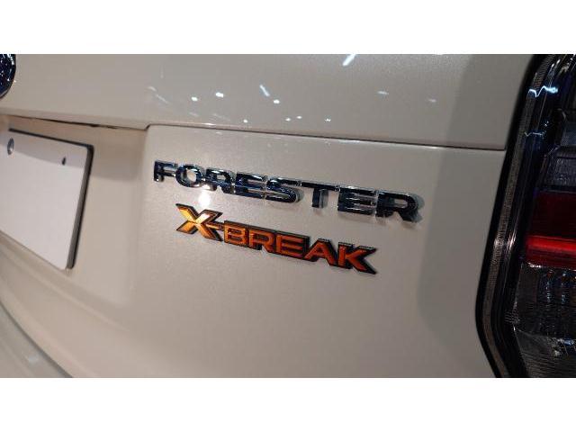 スバル　フォレスター　ボディコーティング　SJ5　ミスト飛び　トラブル　コーティング　ガラスコーティング　藤井寺　羽曳野　富田林　柏原　エクラ　FYENLAB GYEON 阪南鈑金　