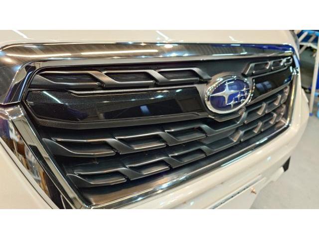 スバル　フォレスター　ボディコーティング　SJ5　ミスト飛び　トラブル　コーティング　ガラスコーティング　藤井寺　羽曳野　富田林　柏原　エクラ　FYENLAB GYEON 阪南鈑金　