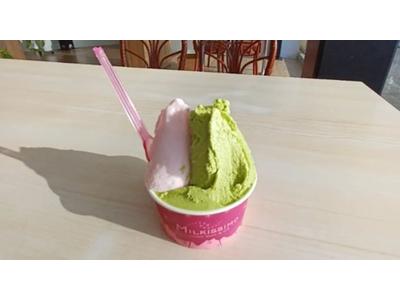 お子様連れも大歓迎！