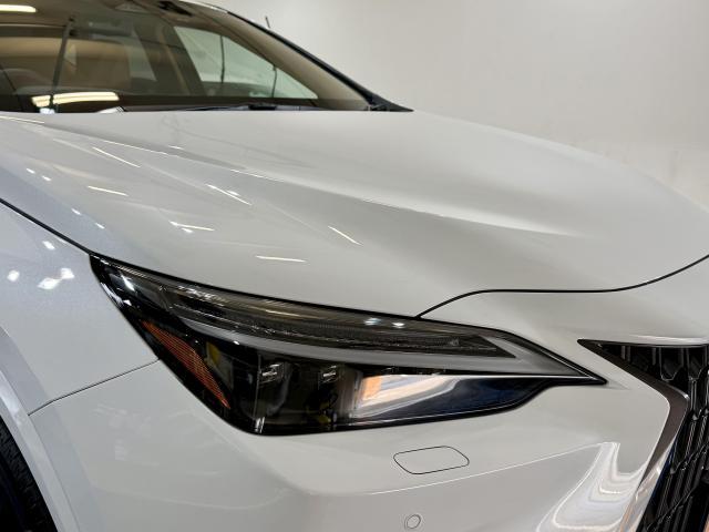 【レクサス NX セラミックコーティング ボディ研磨 ヘッドライトコーティング】福岡市 博多区 南区 中央区 東区 西区 城南区 早良区 大野城 春日 太宰府 那珂川 筑紫野 粕屋