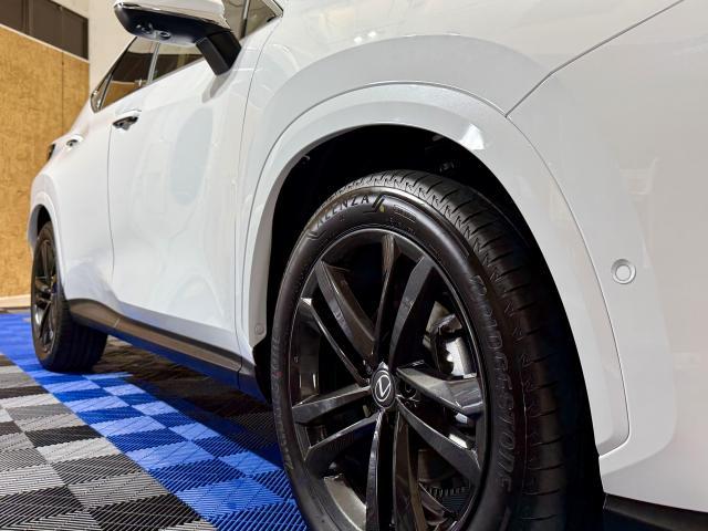 【レクサス NX セラミックコーティング ボディ研磨 ヘッドライトコーティング】福岡市 博多区 南区 中央区 東区 西区 城南区 早良区 大野城 春日 太宰府 那珂川 筑紫野 粕屋